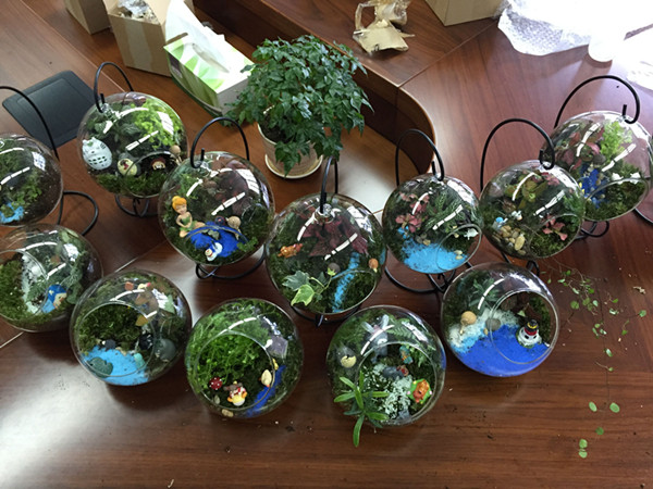 香港六宝典免费大全