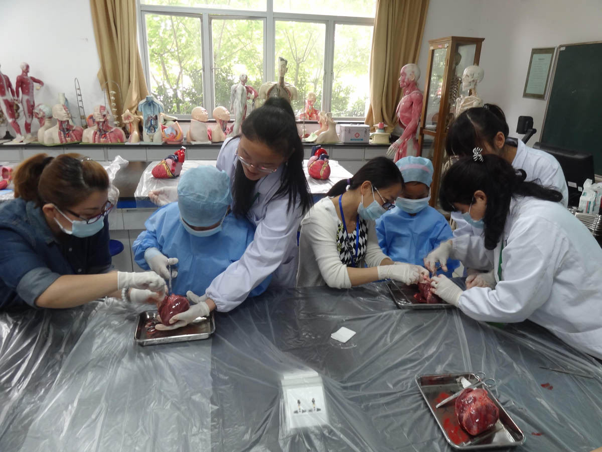 香港六宝典免费大全 香港六宝典免费大全