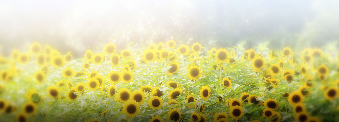 香港六宝典免费大全