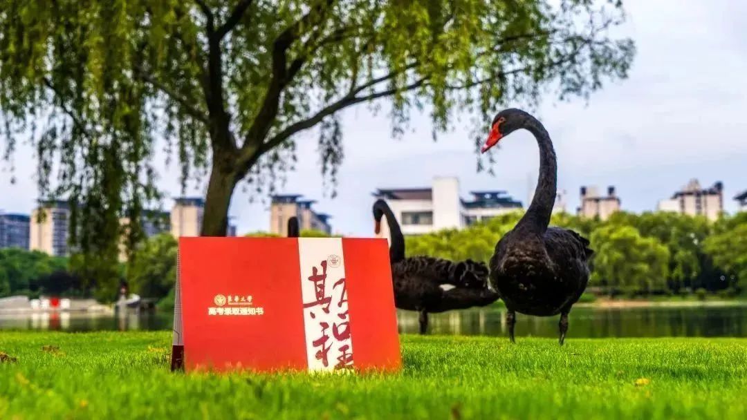 香港六宝典免费大全 香港六宝典免费大全