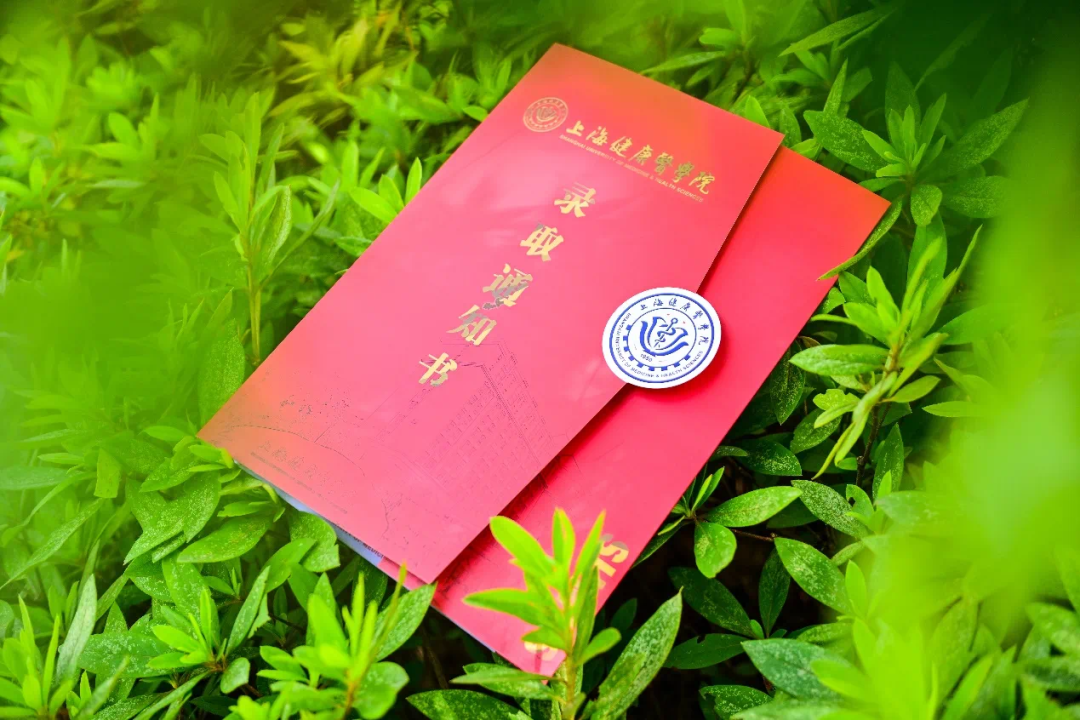 香港六宝典免费大全 香港六宝典免费大全