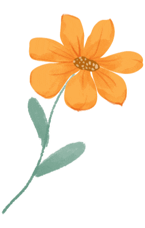 香港六宝典免费大全 香港六宝典免费大全