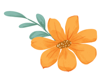 香港六宝典免费大全 香港六宝典免费大全